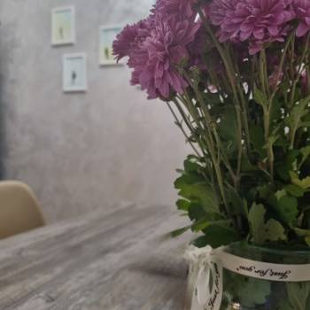 Сдается Многокомнатная квартира, 46 м²
