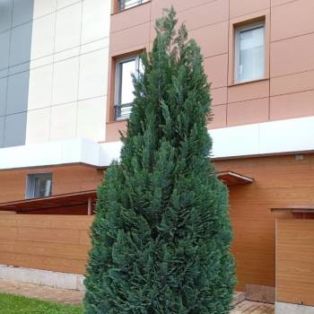 Продается 1-комнатная квартира, 19,2 м²