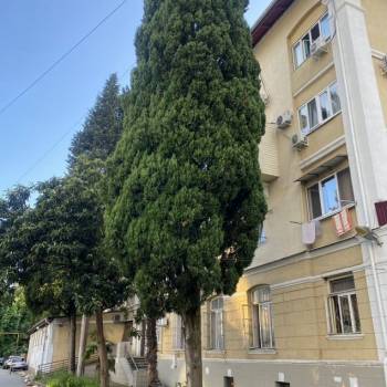 Продается 1-комнатная квартира, 18,8 м²