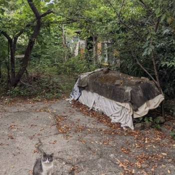 Продается Участок, 450 м²