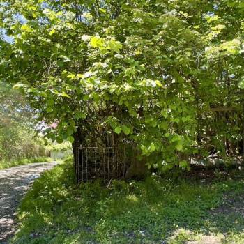 Продается Участок, 340 м²