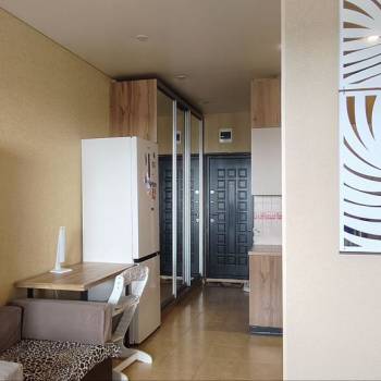 Продается 1-комнатная квартира, 30,2 м²