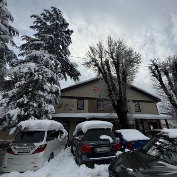 Продается Нежилое помещение, 1263,5 м²