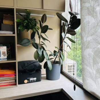 Сдается 2-х комнатная квартира, 54 м²