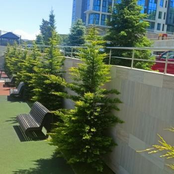 Сдается 1-комнатная квартира, 28 м²