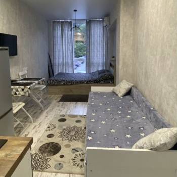 Продается 1-комнатная квартира, 22,4 м²