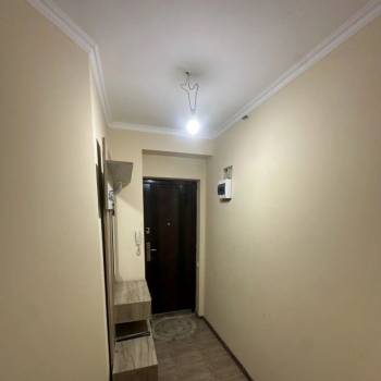 Сдается 1-комнатная квартира, 31 м²
