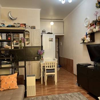 Продается 1-комнатная квартира, 24,1 м²