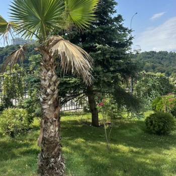 Сдается 1-комнатная квартира, 18 м²