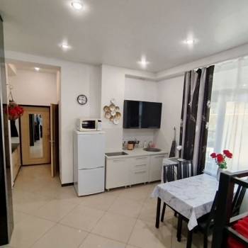 Продается 1-комнатная квартира, 22,3 м²