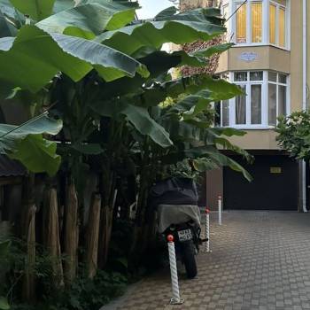 Продается 1-комнатная квартира, 31 м²