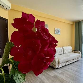Сдается Дом, 54 м²