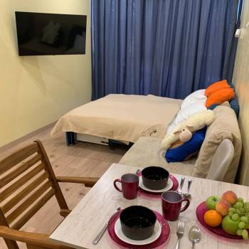 Сдается 1-комнатная квартира, 24,4 м²