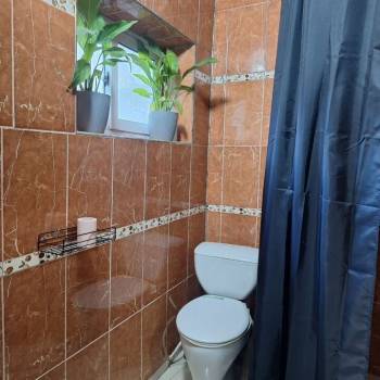 Сдается 1-комнатная квартира, 45 м²