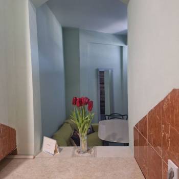 Сдается 1-комнатная квартира, 45 м²