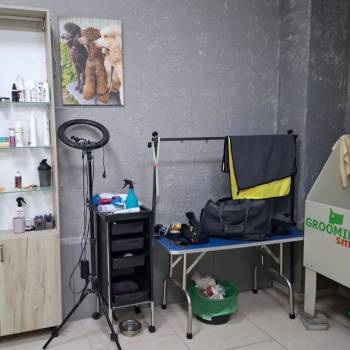 Продается Нежилое помещение, 23,3 м²