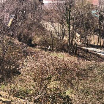 Продается Участок, 490 м²