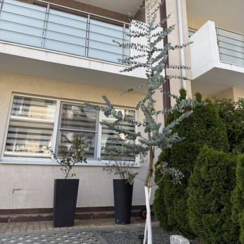 Сдается Дом, 129 м²