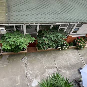 Сдается Комната, 20 м²
