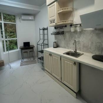Сдается 1-комнатная квартира, 23 м²