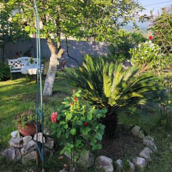 Сдается Дом, 250 м²