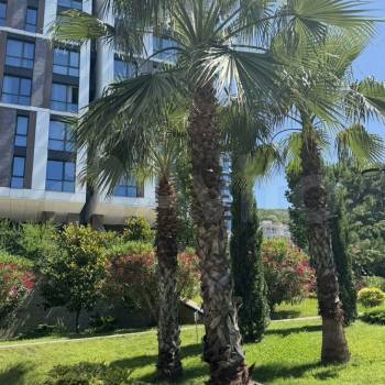 Продается 1-комнатная квартира, 23,5 м²