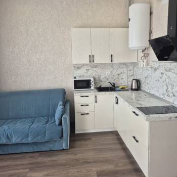 Сдается 1-комнатная квартира, 24,2 м²