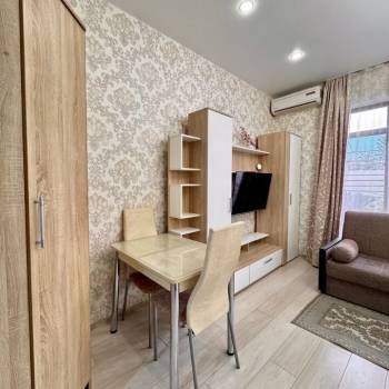 Сдается 1-комнатная квартира, 24,2 м²