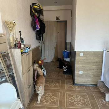 Продается 3-х комнатная квартира, 96,9 м²