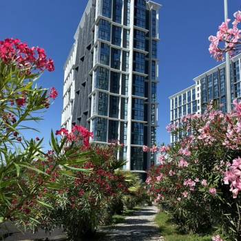 Продается 1-комнатная квартира, 25 м²