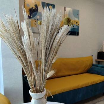 Сдается 1-комнатная квартира, 24 м²