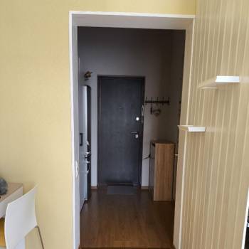 Сдается 1-комнатная квартира, 28,3 м²