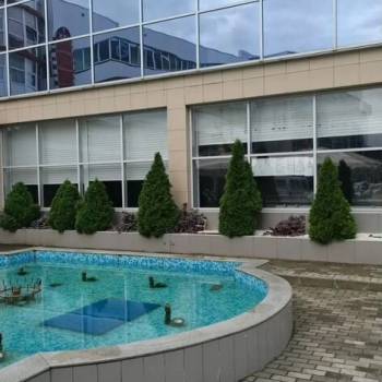 Сдается Нежилое помещение, 206 м²