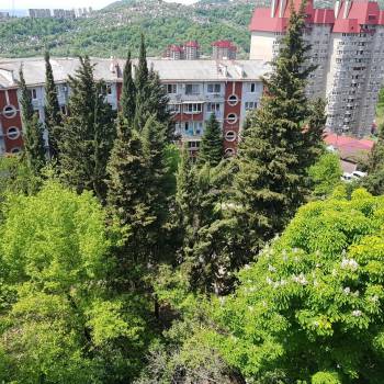 Продается Многокомнатная квартира, 81,5 м²