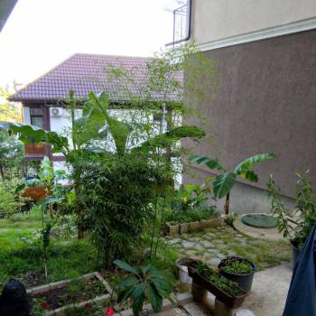 Продается 1-комнатная квартира, 18 м²