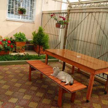 Сдается Комната, 18 м²