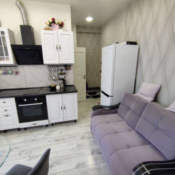 Продается 1-комнатная квартира, 26,7 м²