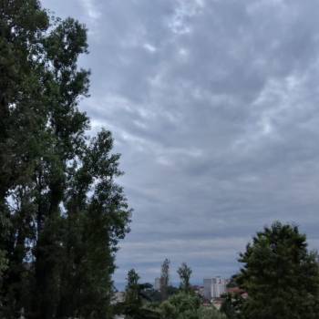 Продается 1-комнатная квартира, 20,2 м²