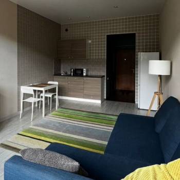 Сдается 1-комнатная квартира, 29,8 м²