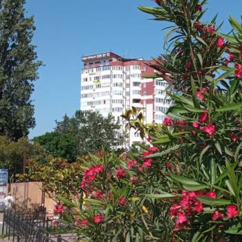 Сдается 1-комнатная квартира, 32 м²