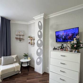 Продается 1-комнатная квартира, 24,7 м²