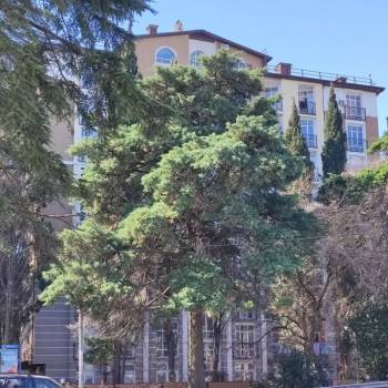 Продается 1-комнатная квартира, 33 м²