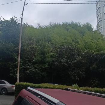 Продается Участок, 1130 м²