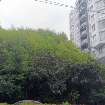 Продается Участок, 1130 м²