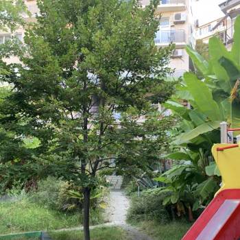 Сдается 2-х комнатная квартира, 47 м²