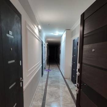 Сдается 1-комнатная квартира, 25,8 м²