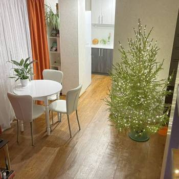 Сдается Многокомнатная квартира, 55 м²