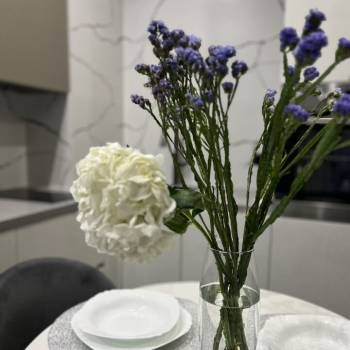 Сдается 2-х комнатная квартира, 45 м²