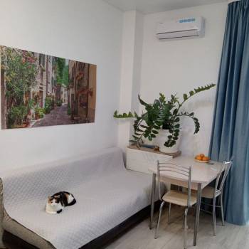 Продается 1-комнатная квартира, 22 м²