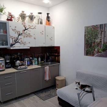 Продается 1-комнатная квартира, 22 м²